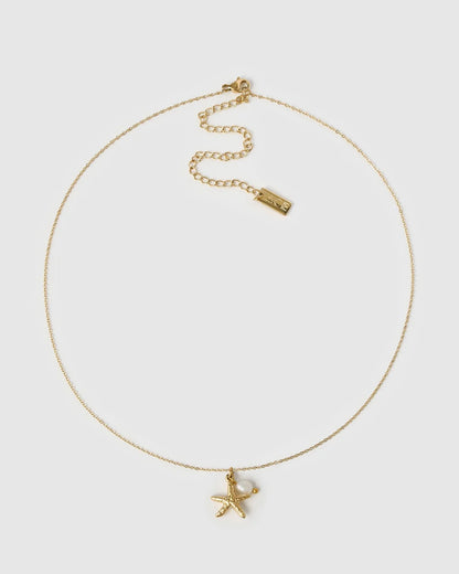 A delicate gold chain necklace featuring a small starfish pendant and an adjustable lobster clasp with a brand tag, displayed on a light gray background.